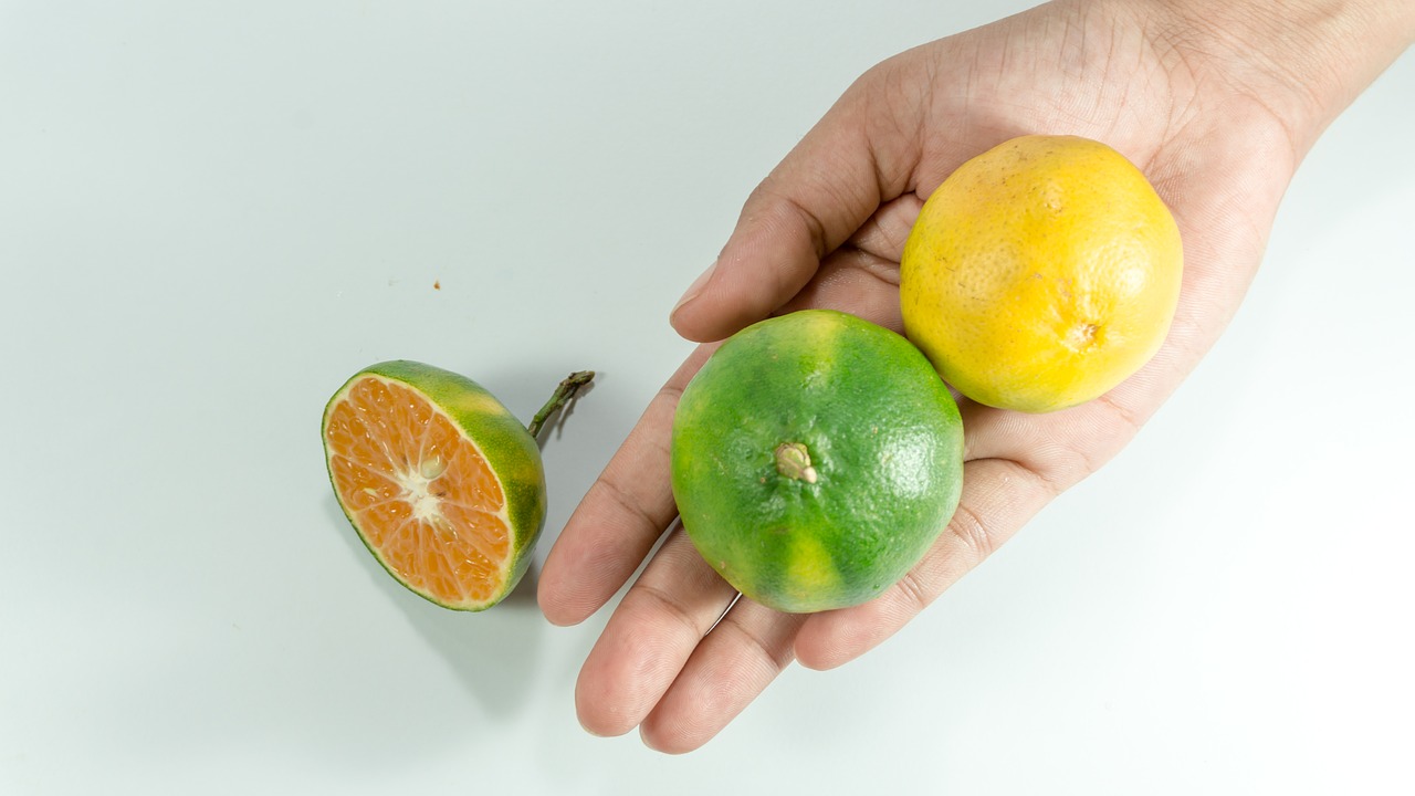 Image - asian green oranges hand women