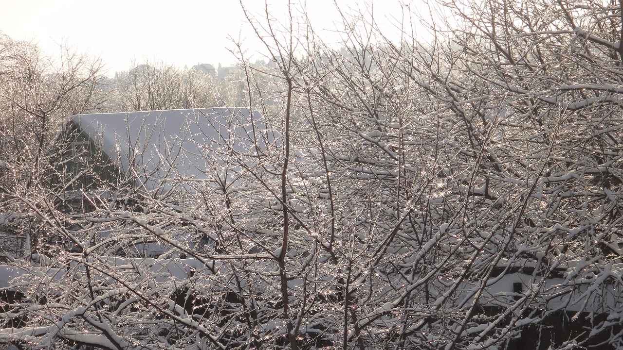 Image - winter village snow cold frost