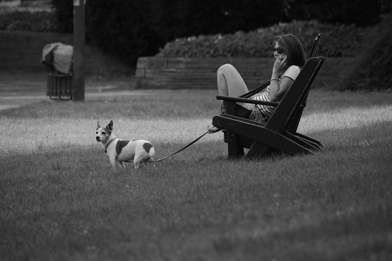 Image - woman park summer rest phone call