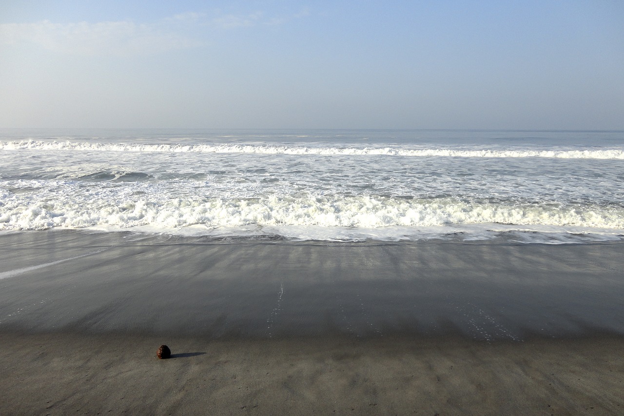 Image - coconut sea ocean sea foam beach