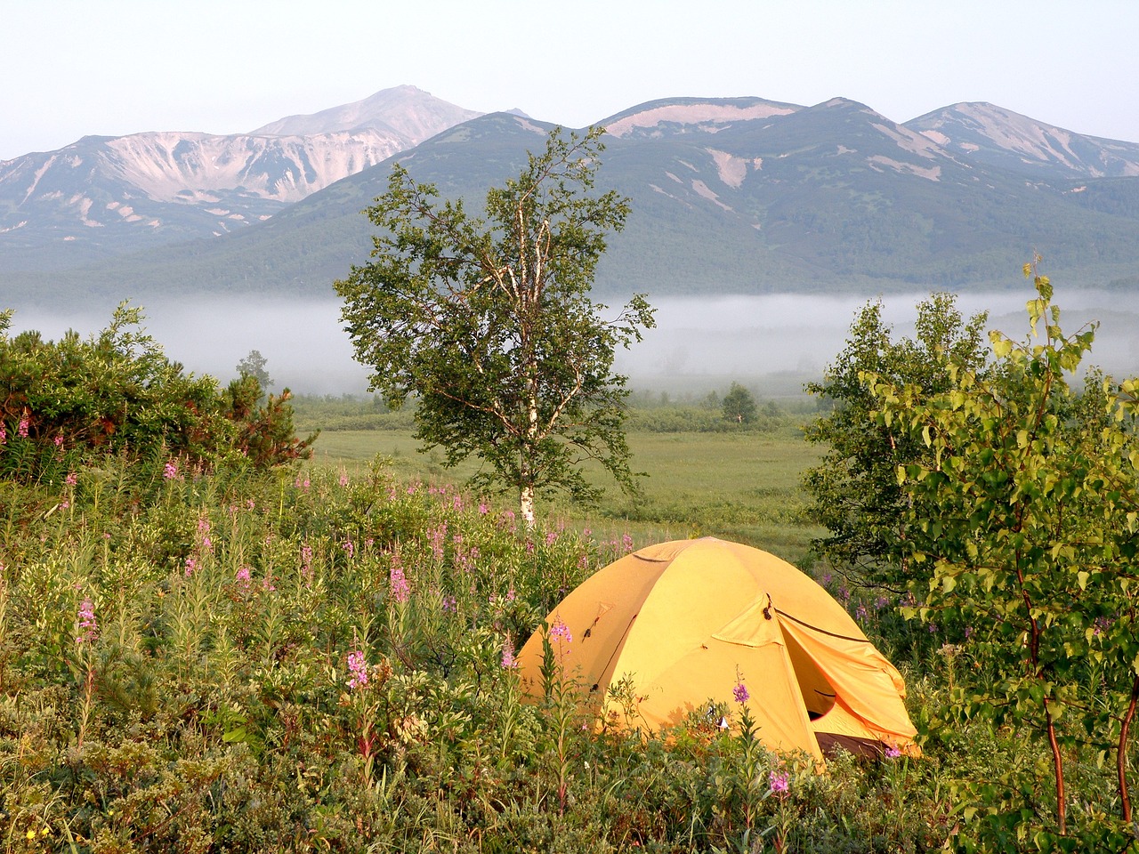 Image - summer forest lake tent vacation