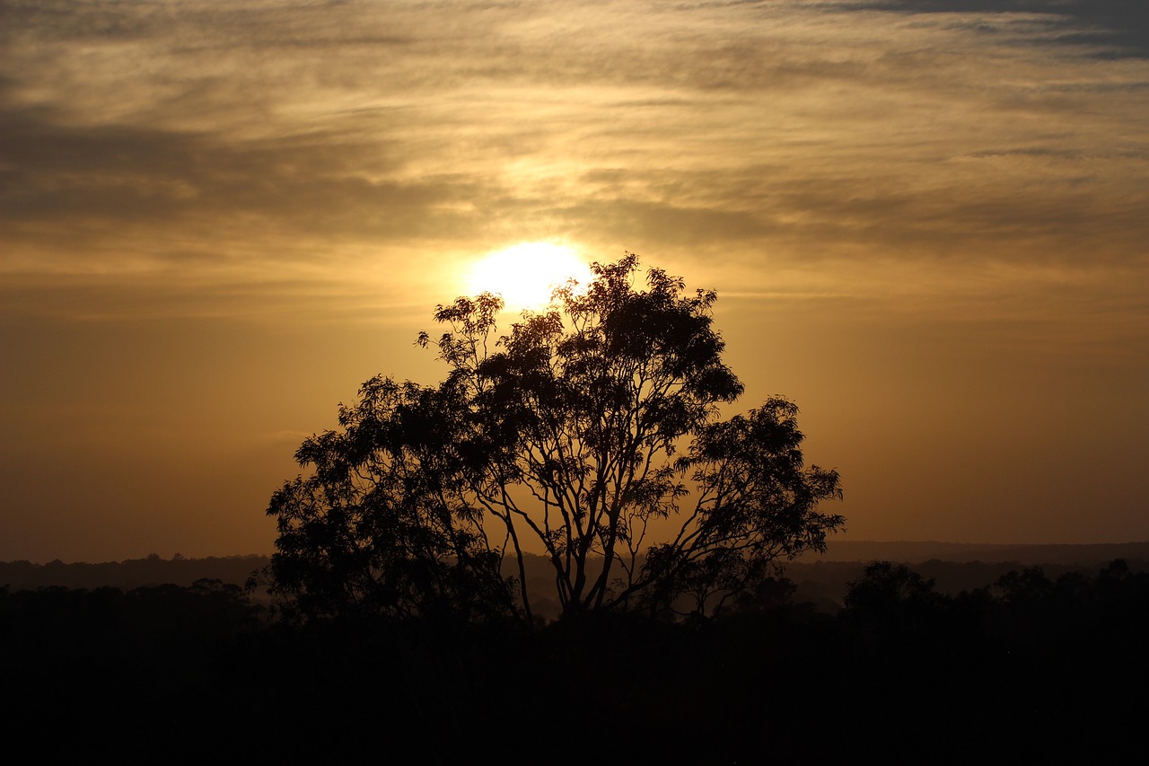 Image - hunter valley australia sunrise