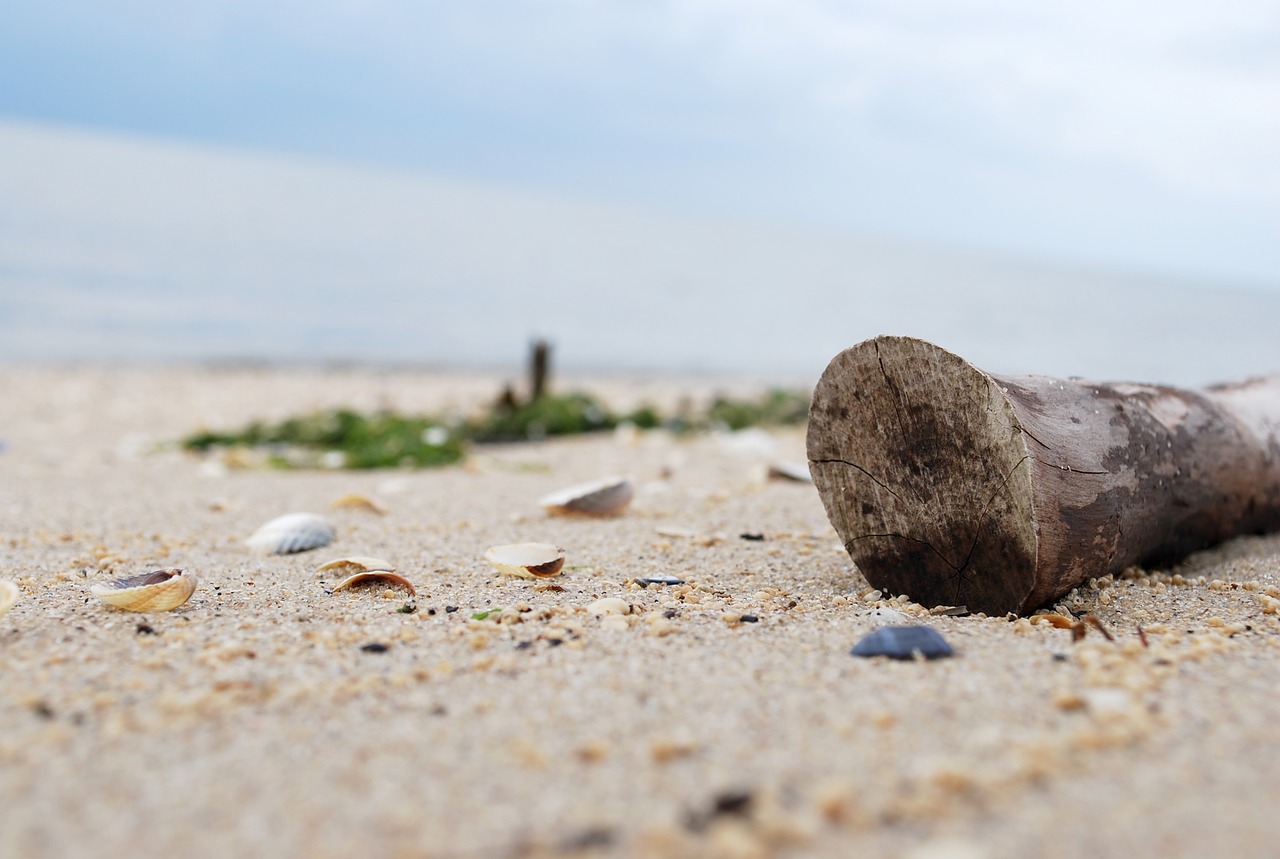 Image - flotsam north sea jade beach sand