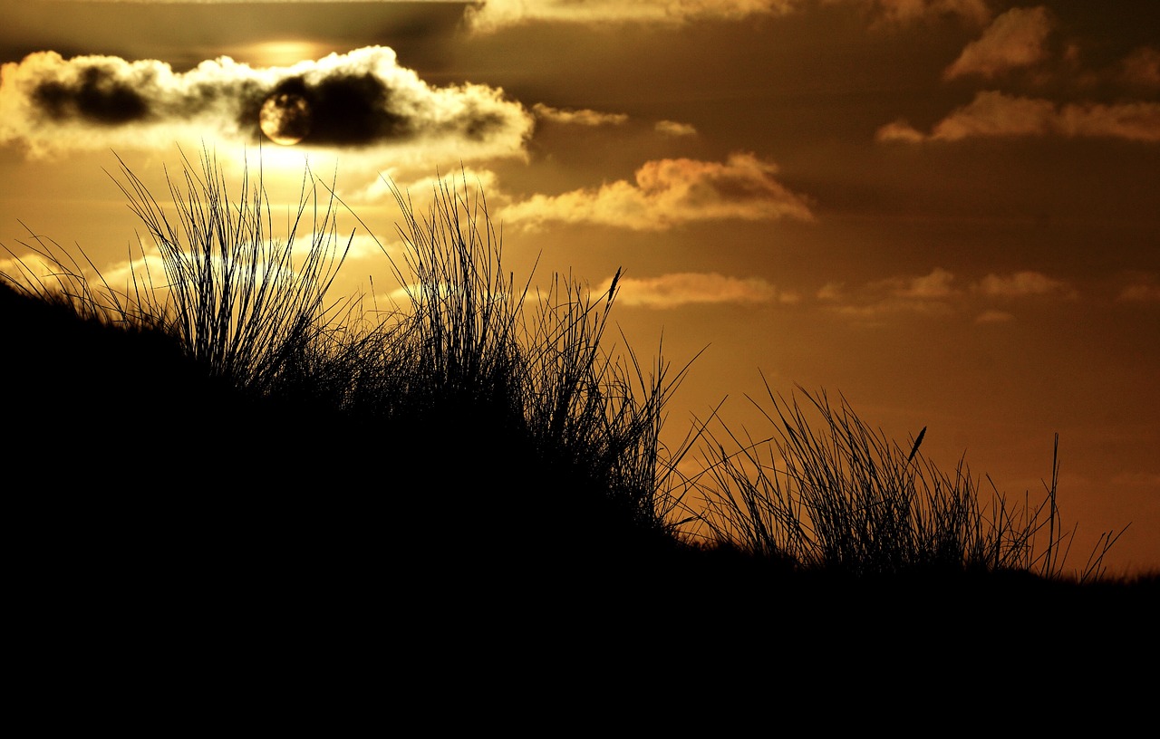 Image - abendstimmung sunset sky sunset sea