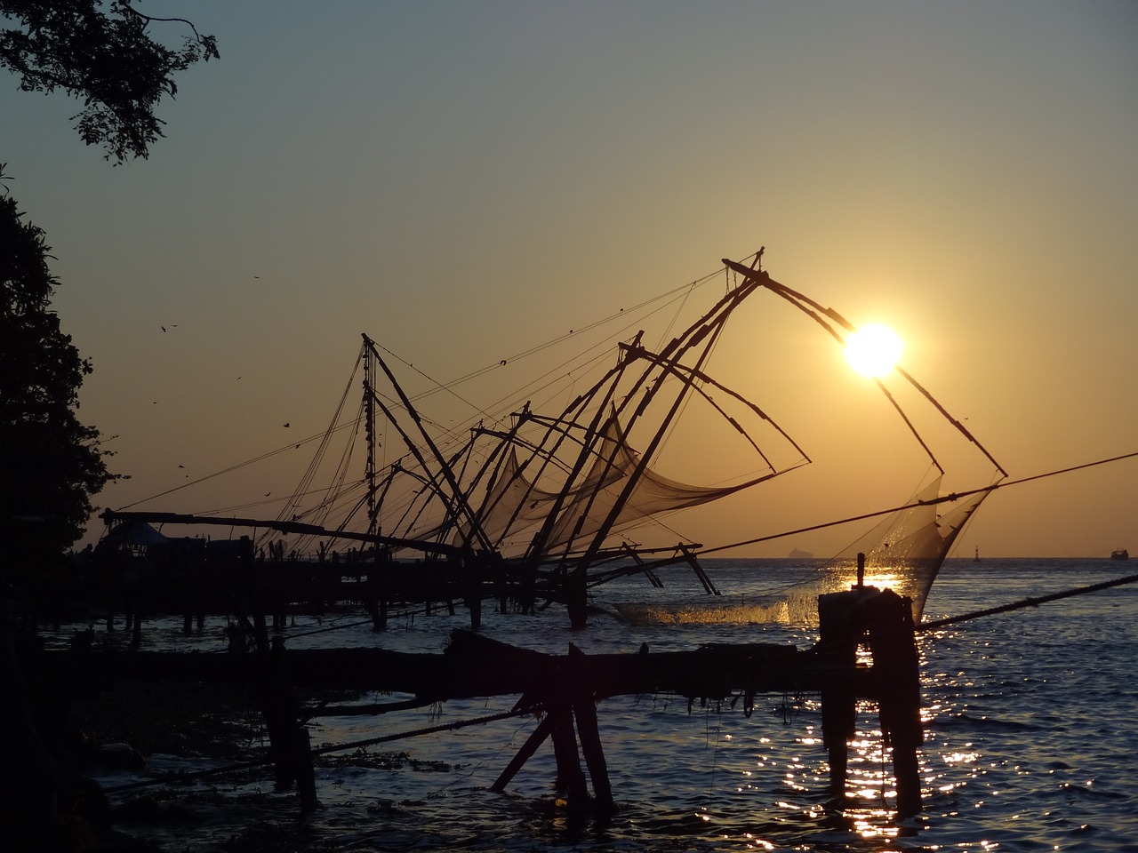 Image - india sea fish water