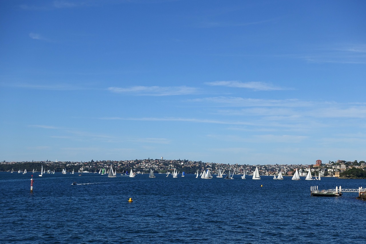 Image - opera house australia sydney city