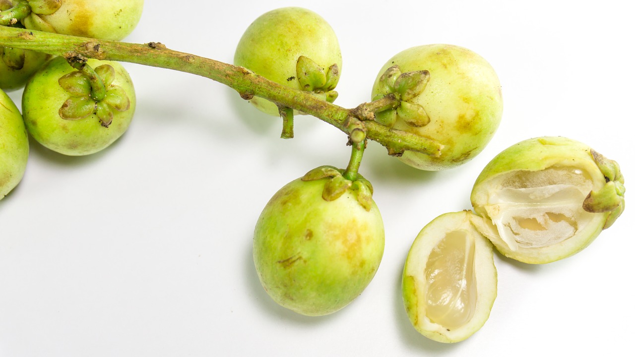 Image - asian fruit langsat longkong duku