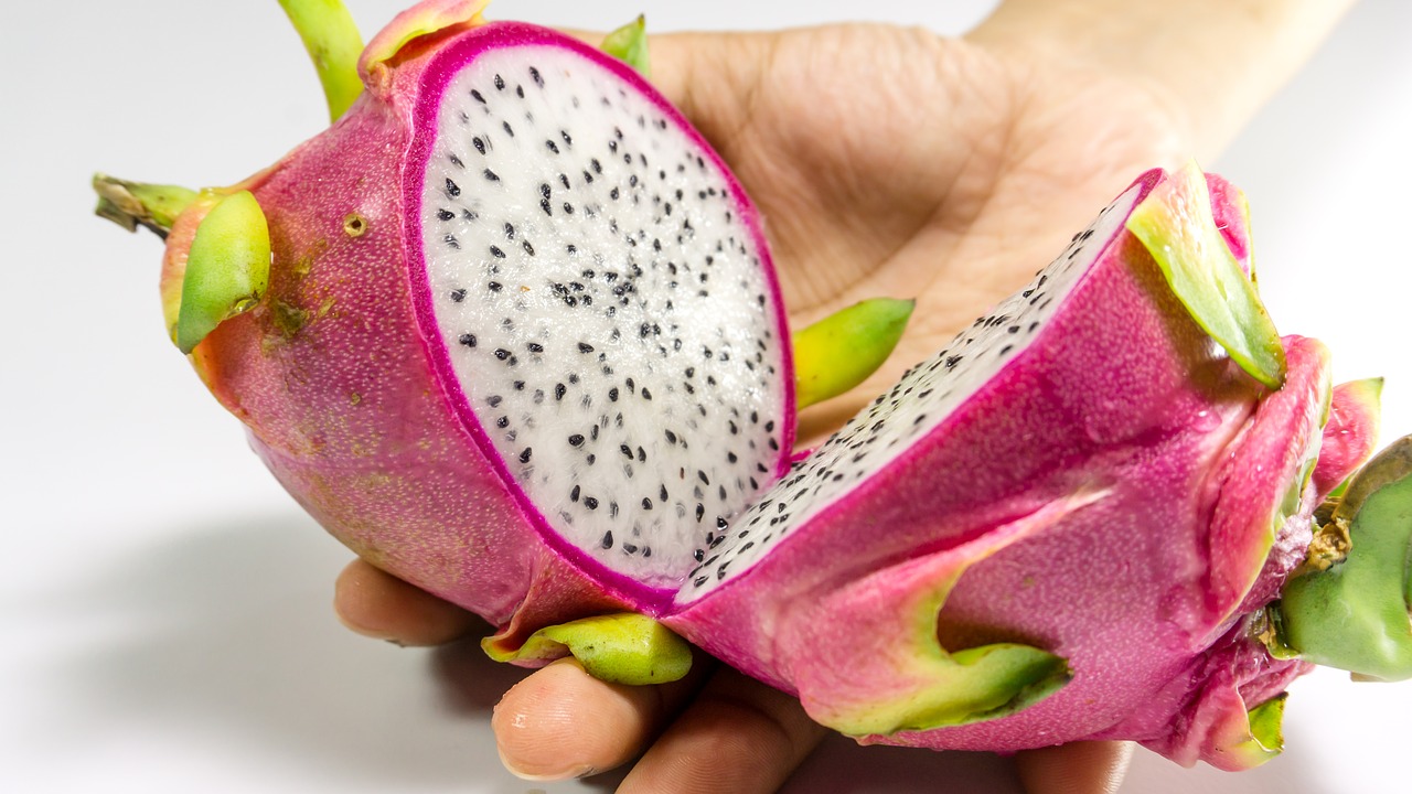 Image - fruit dragon white isolated