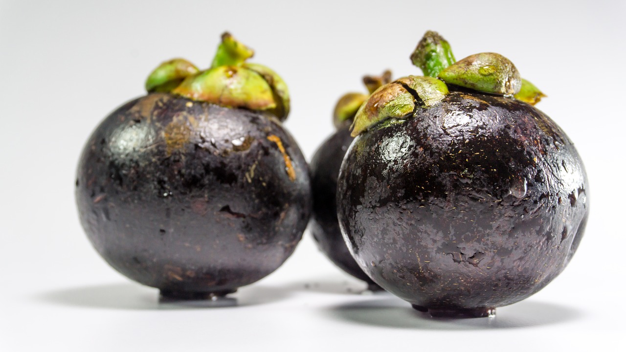 Image - mangosteen fruit white tropical