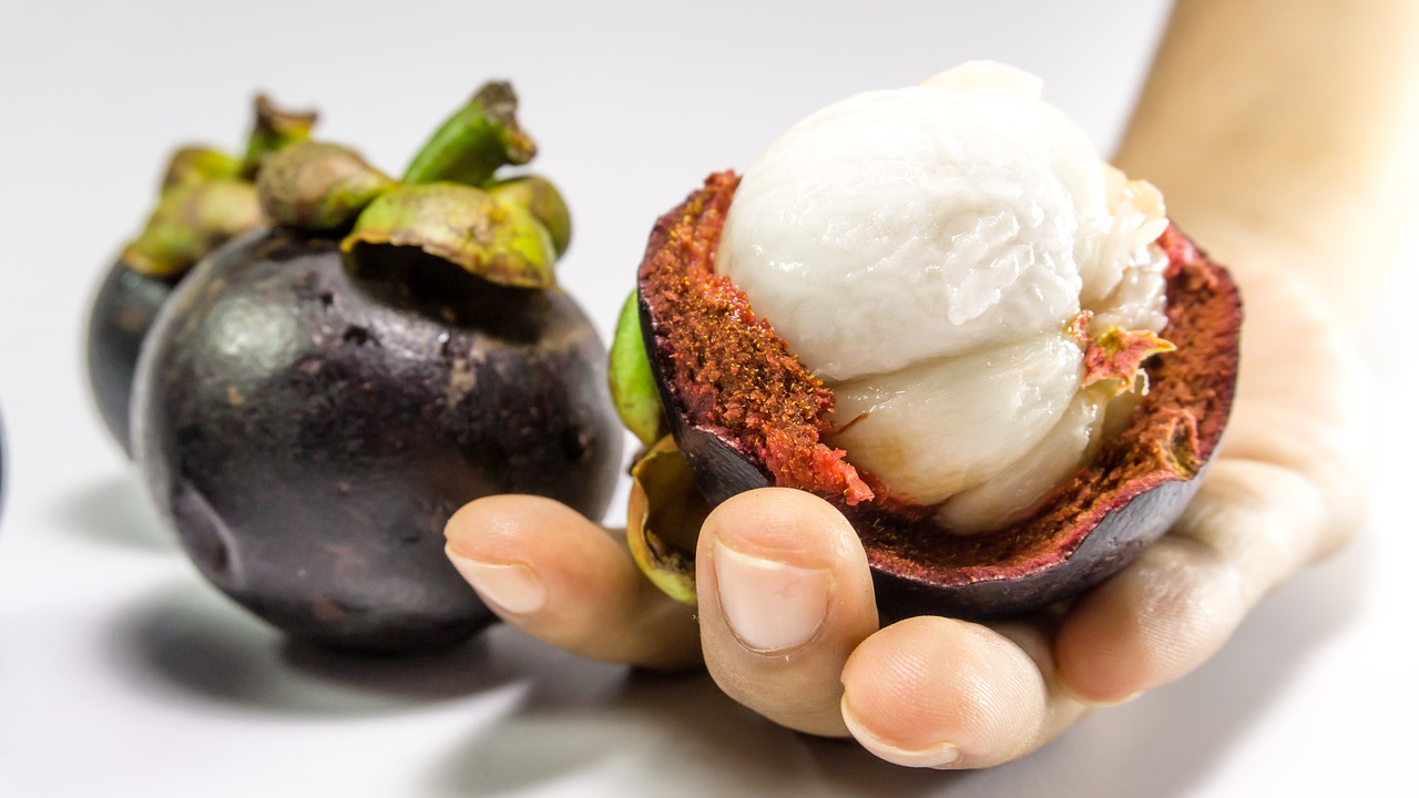 Image - mangosteen fruit white tropical