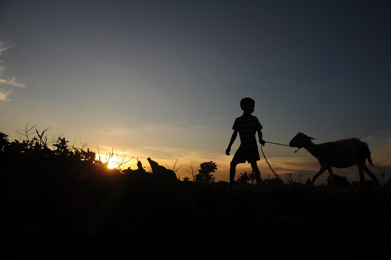 Image - silhuette goad kids sunset