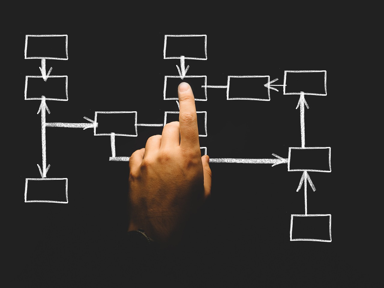 Image - organization organization chart