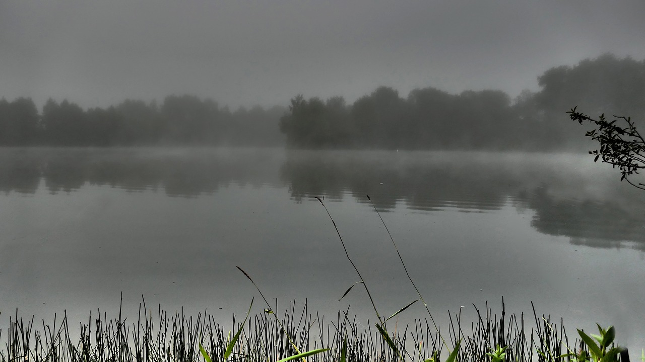 Image - mood fog morning hour water lake