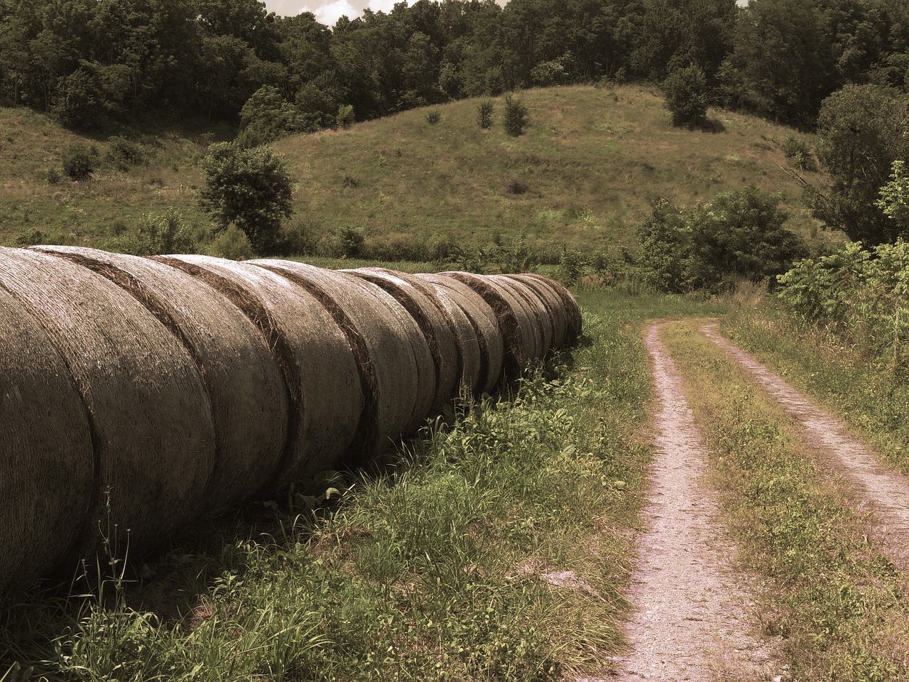 Image - hay bails photography farm field