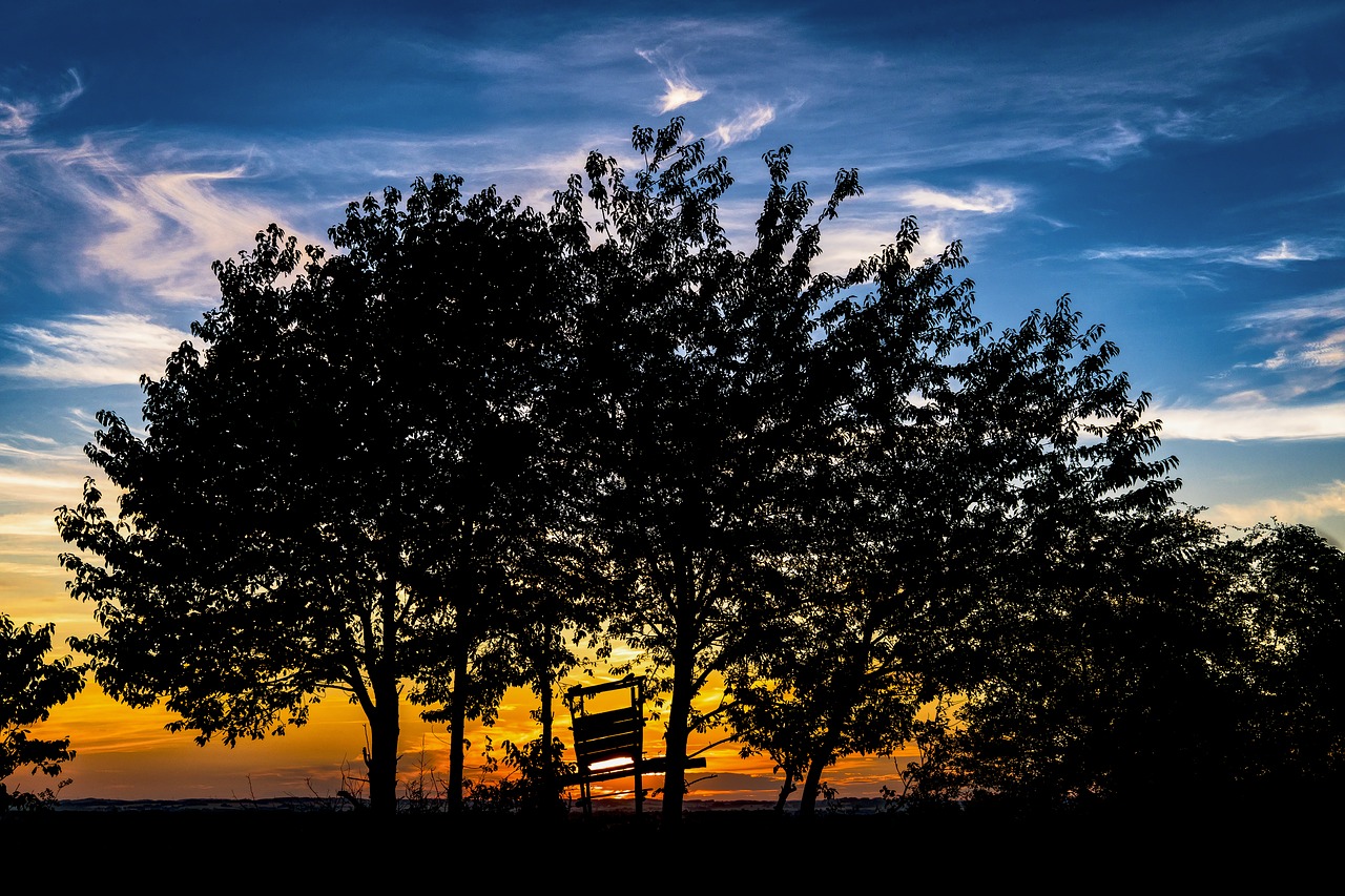 Image - hunter was silhouette treehouse