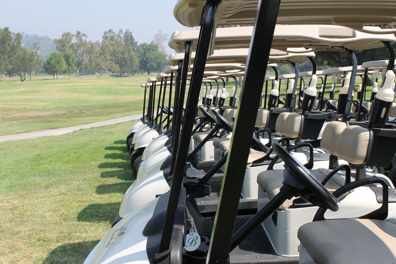 Image - golf cart golfer sport golf cart