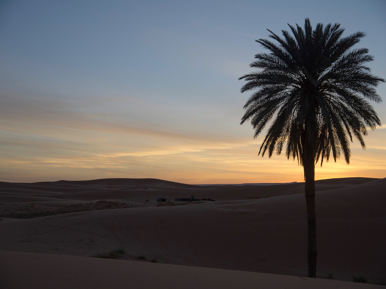 Image - palm desert dusk morocco sand dune