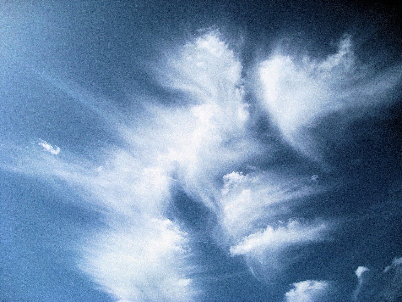 Image - clouds birds beauty unusual wispy