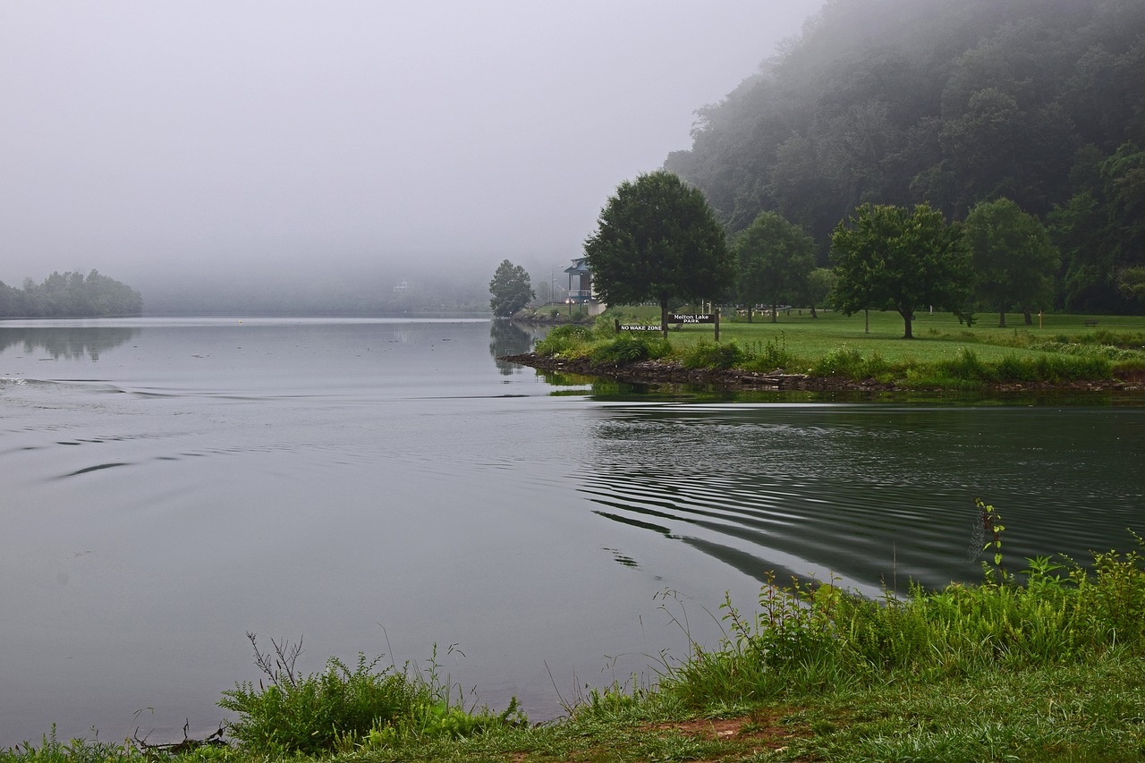 Image - ripples in the water