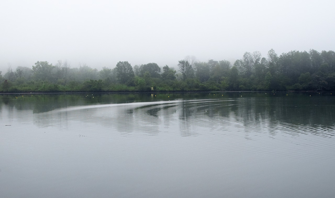 Image - ripples in the water