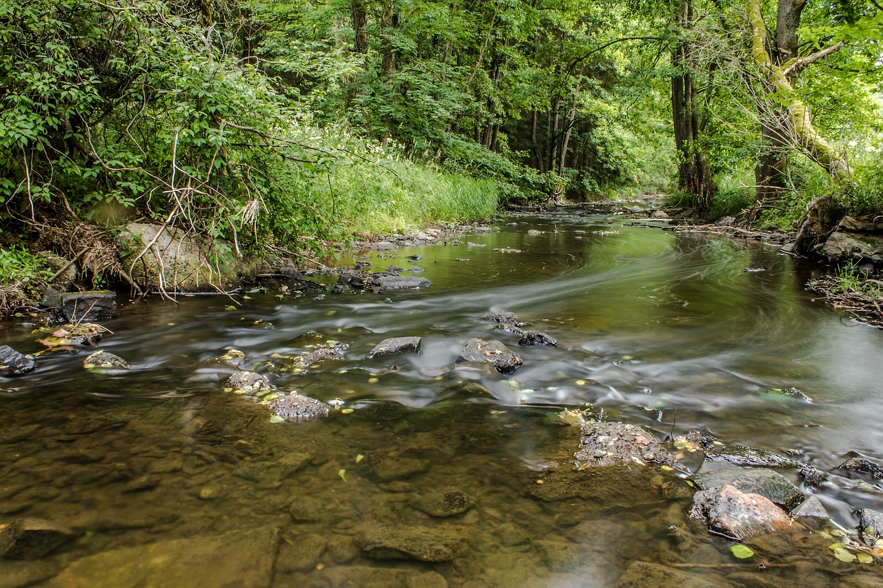 Image - river trees stones bank landscape