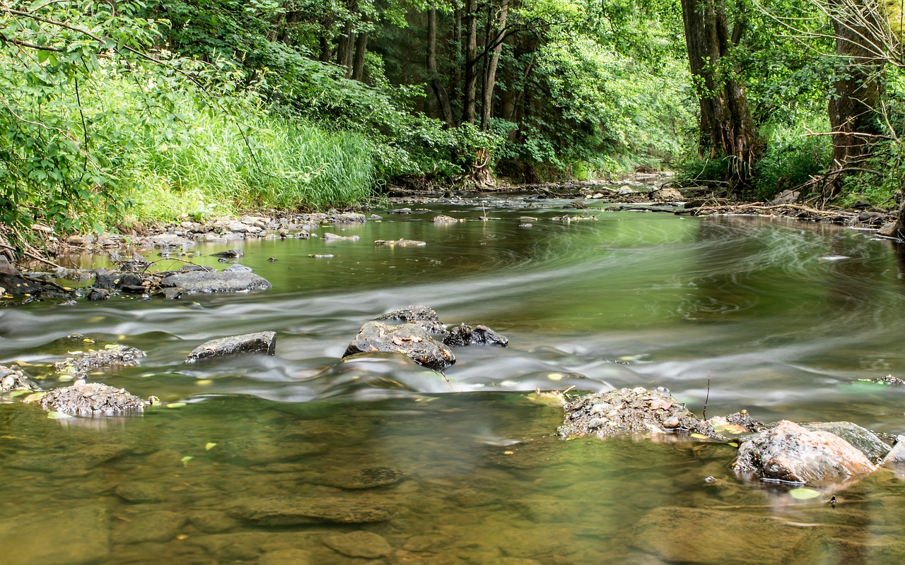 Image - river trees stones bank landscape