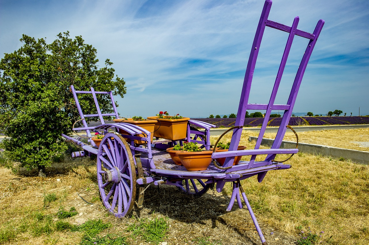 Image - provence valensole lavender