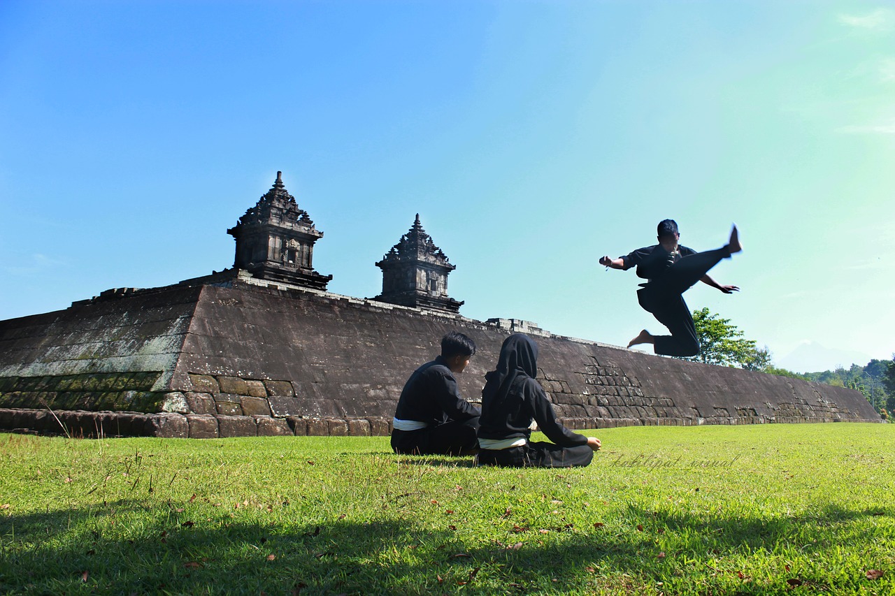 Image - culture traditional silat