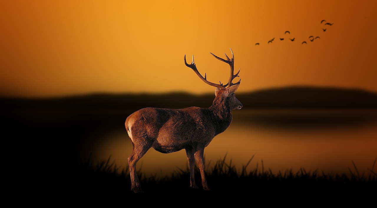 Image - deer autumn yellow sky landscape