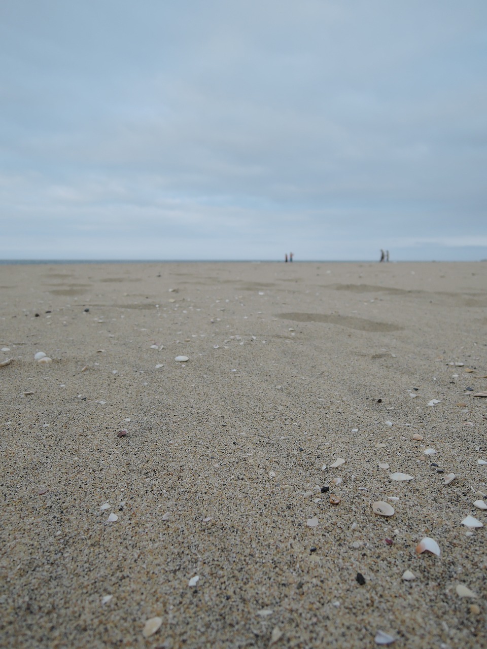 Image - sandy delusions bathing beach