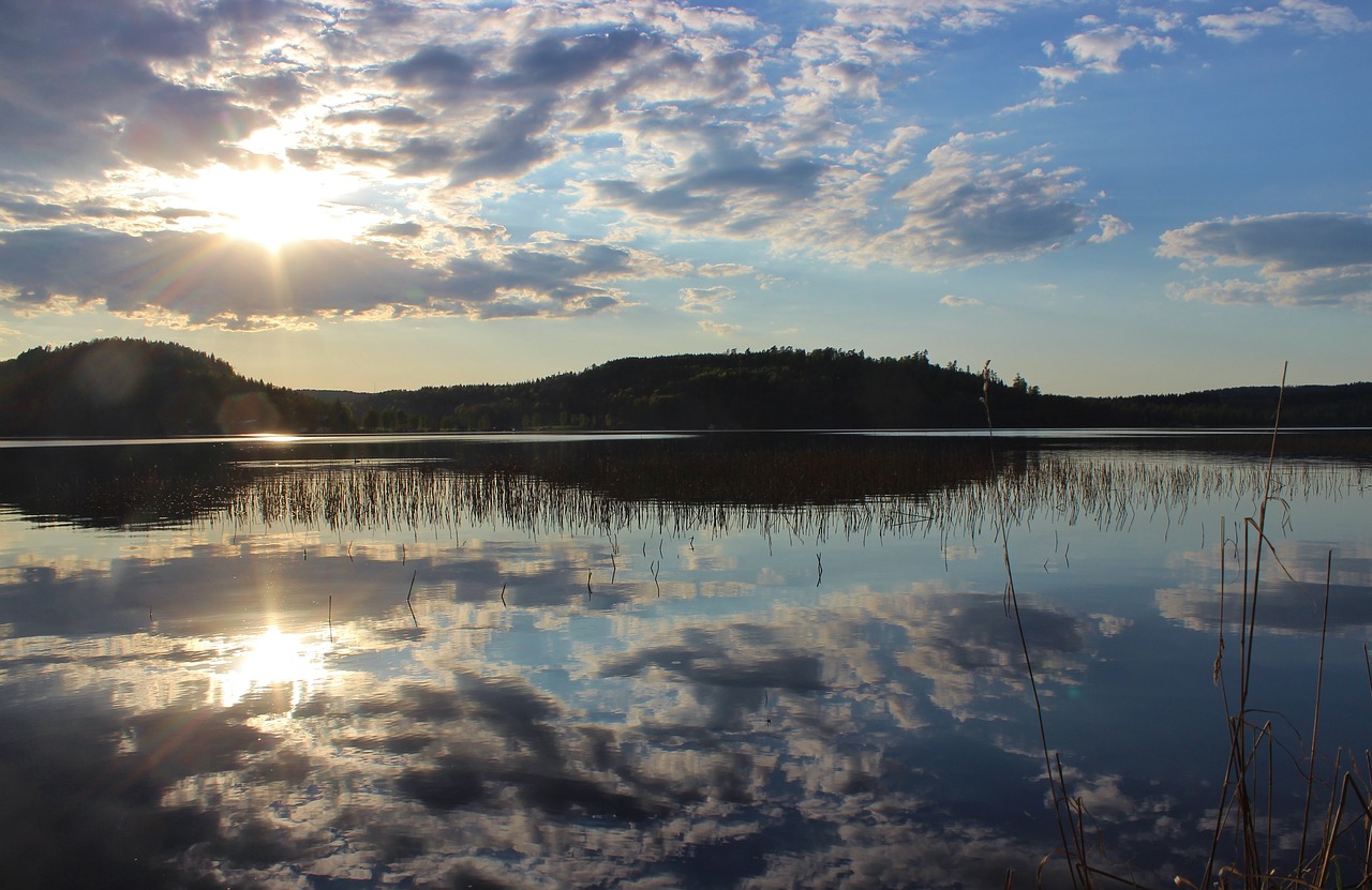 Image - sunset summer himmel evening lake