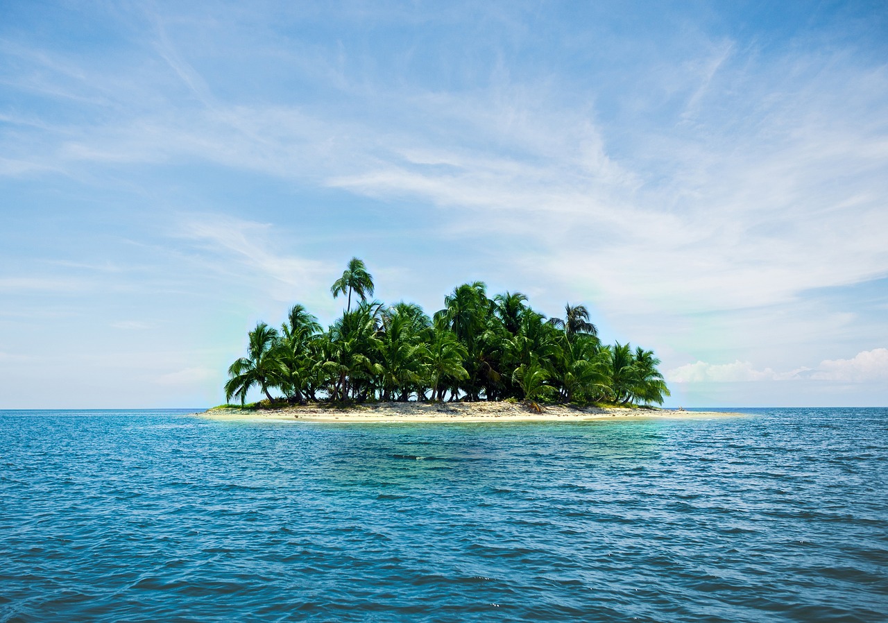 Image - island holiday caribbean palm trees