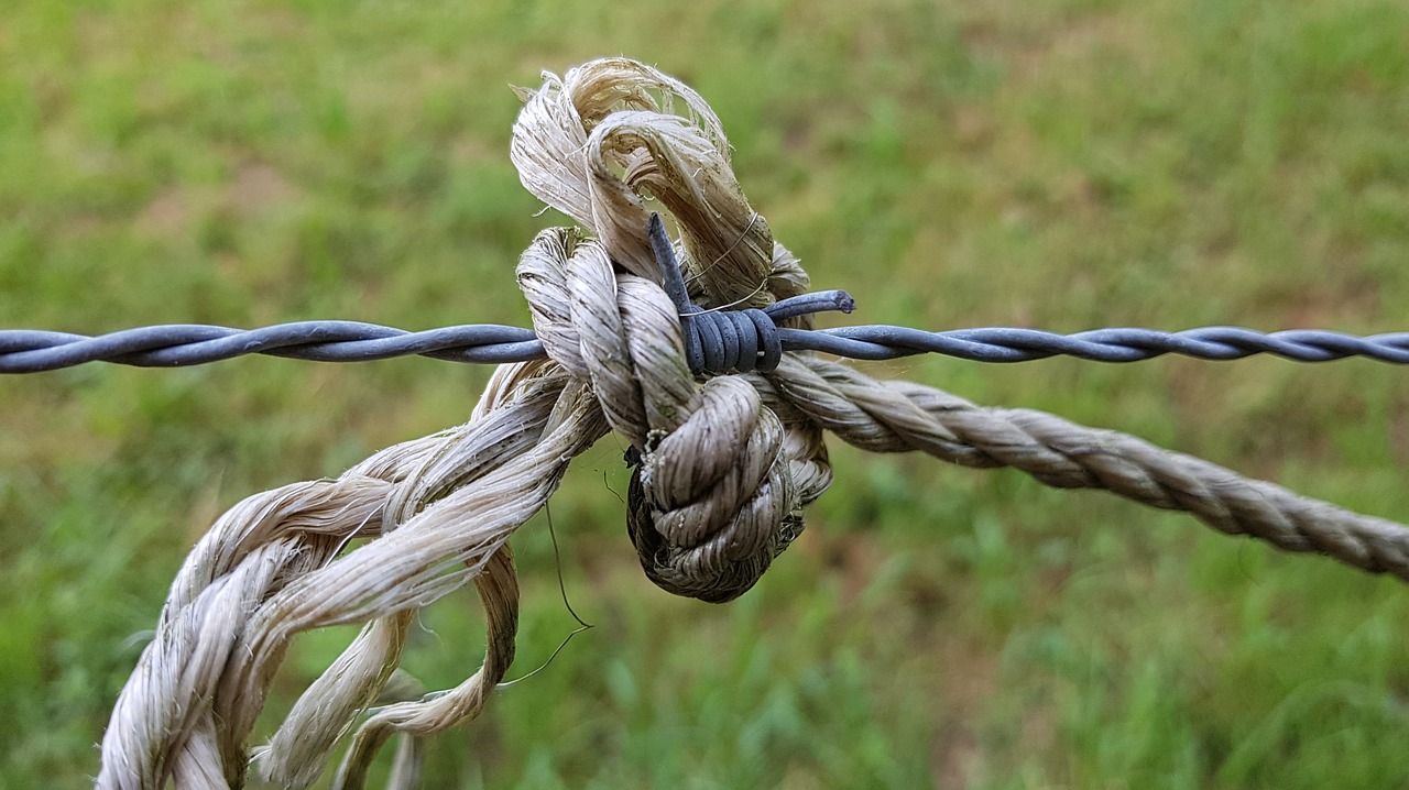 Image - barbed wire fence barrier rope