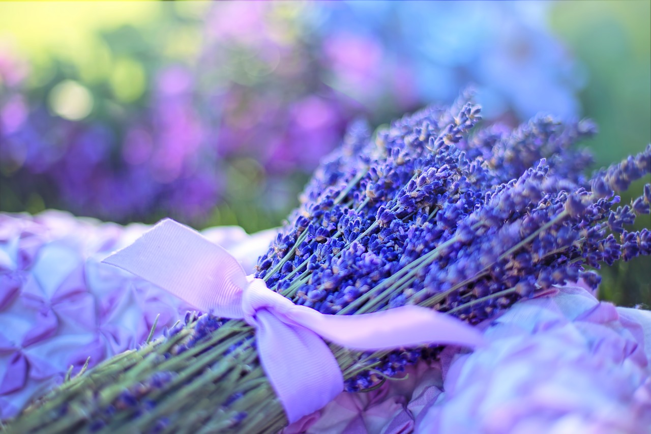 Image - lavender fresh flowers herbal