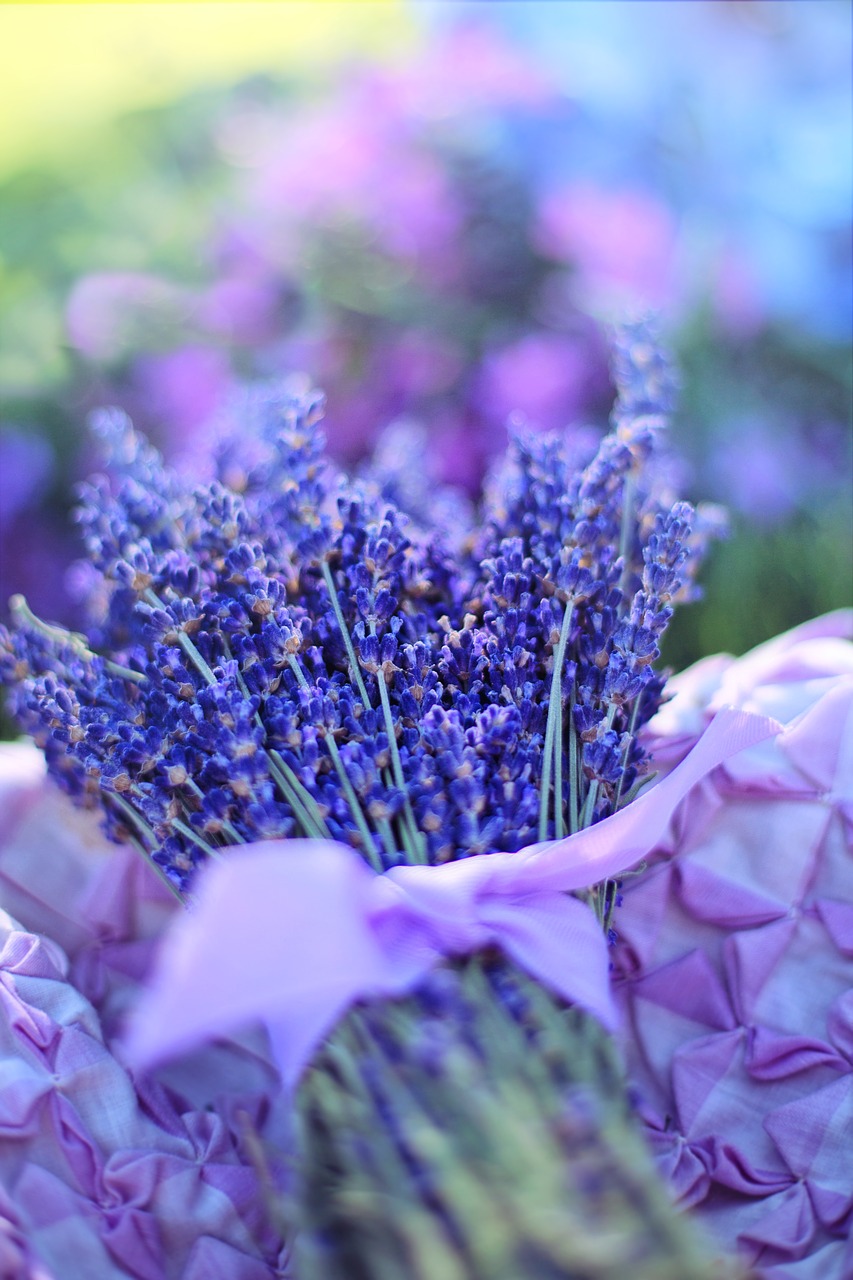 Image - lavender fresh flowers herbal