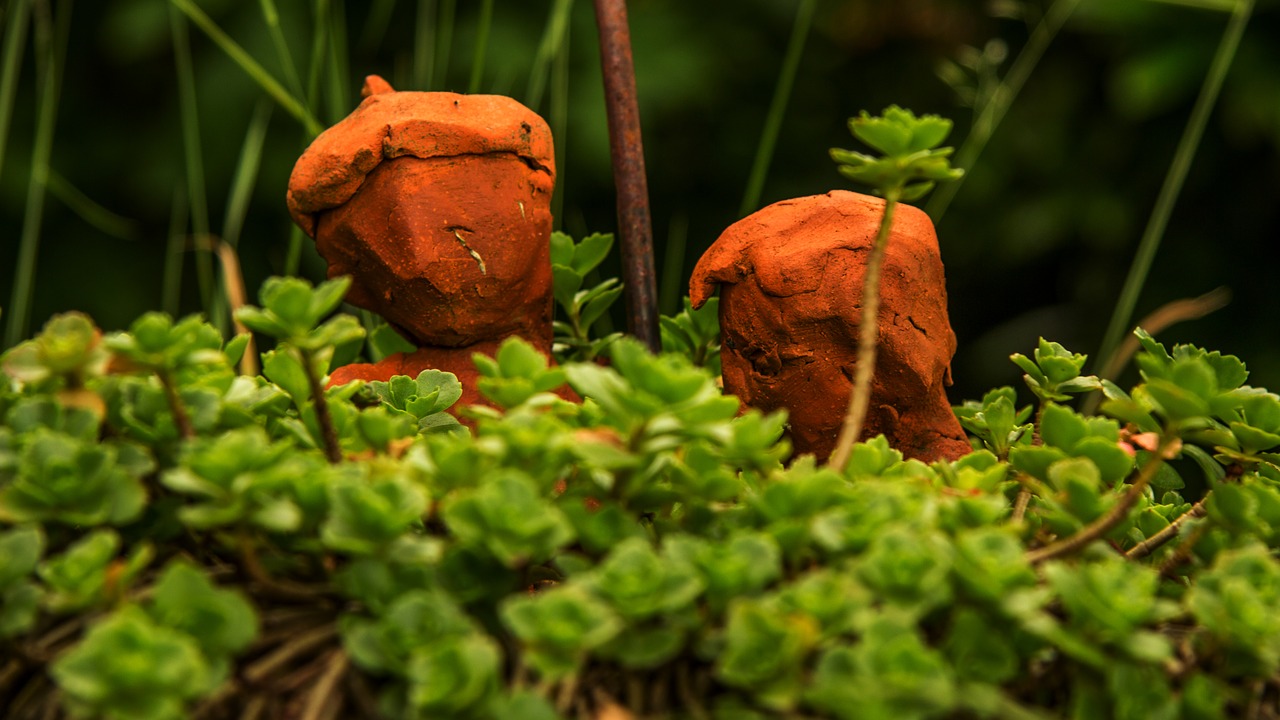 Image - pair garden love together