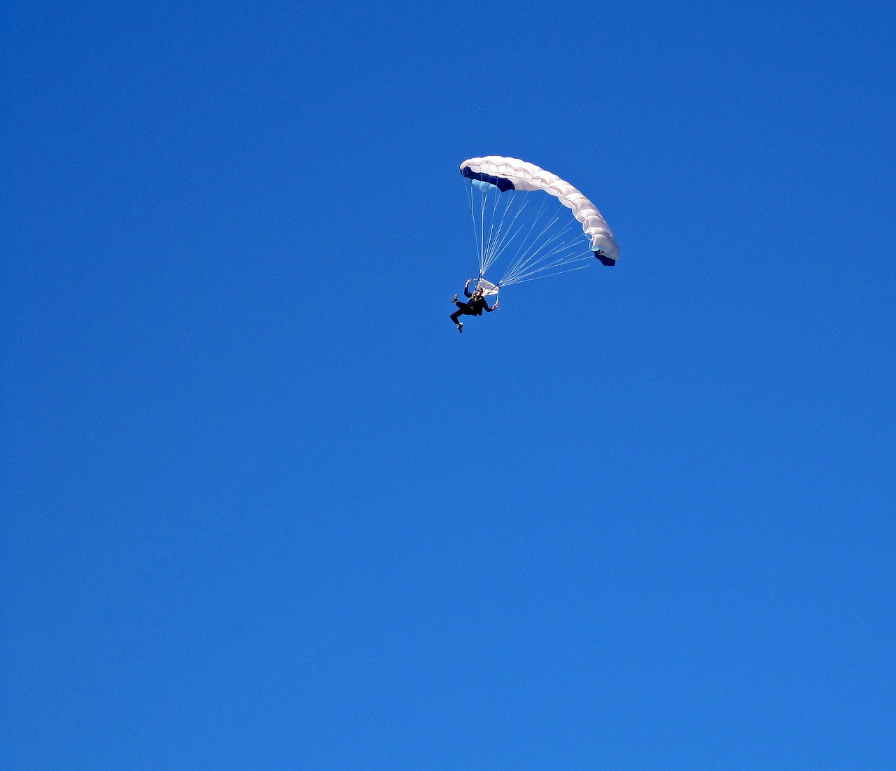 Image - parachutist parachute white canopy