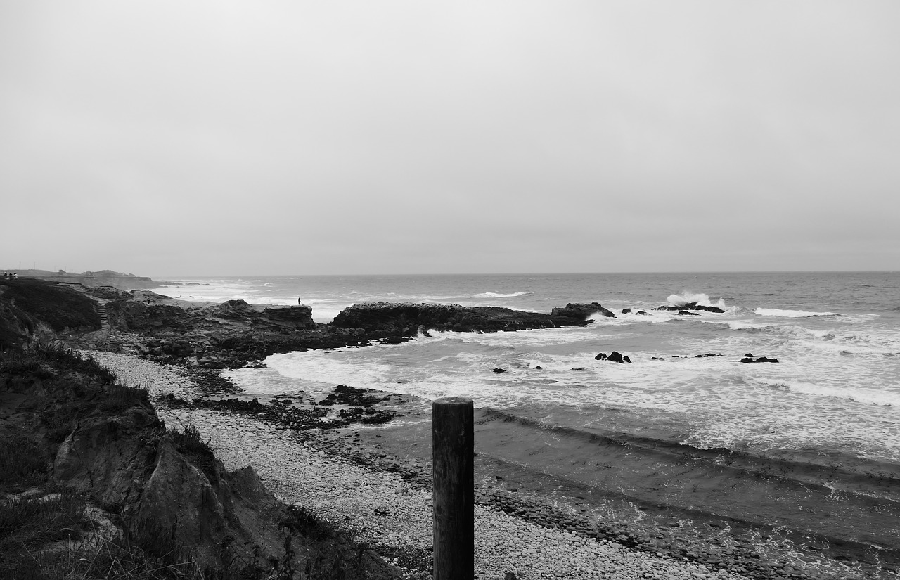 Image - sea california ocean tide low