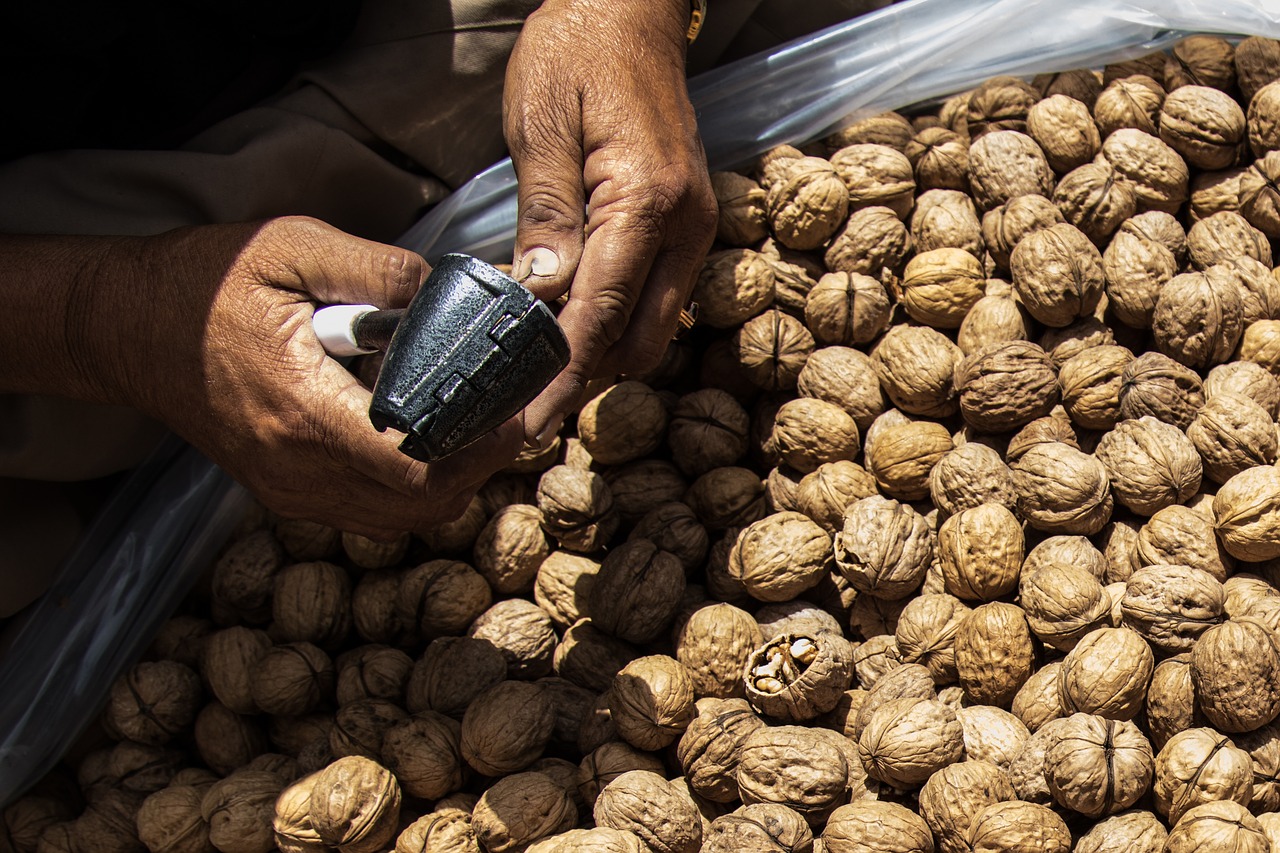 Image - nut walnut cracking nuts