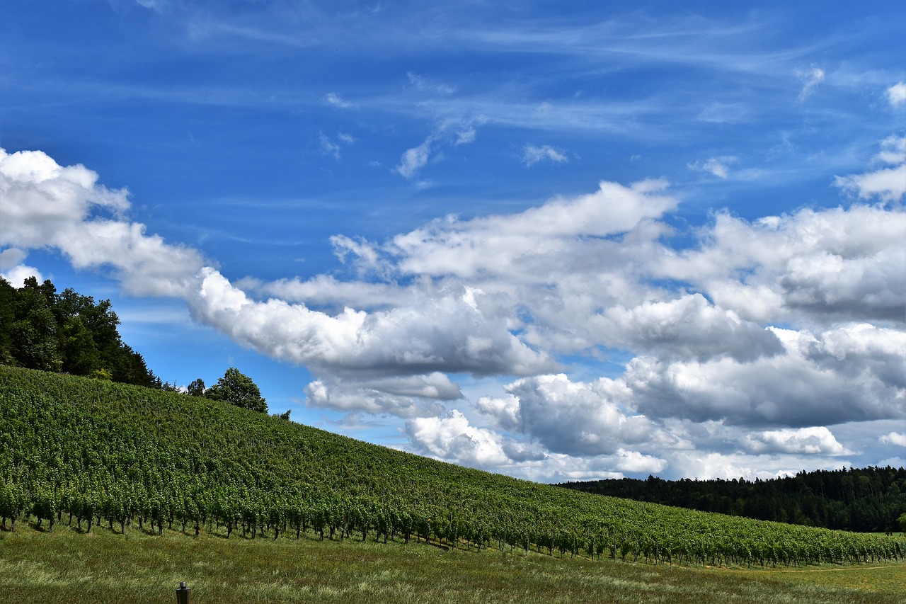 Image - landscape view clouds environment