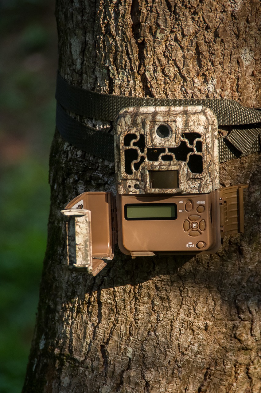 Image - camera trail camera wildlife camera