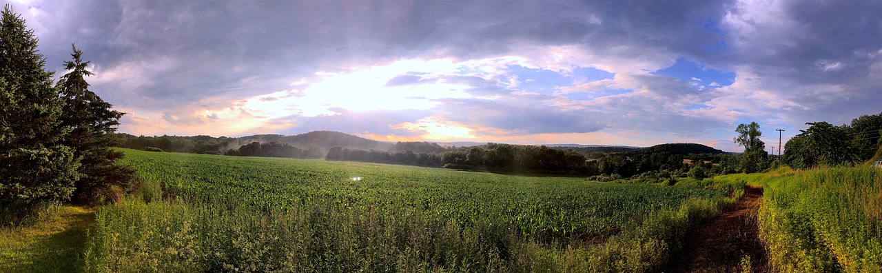 Image - landscape field sunshine mist