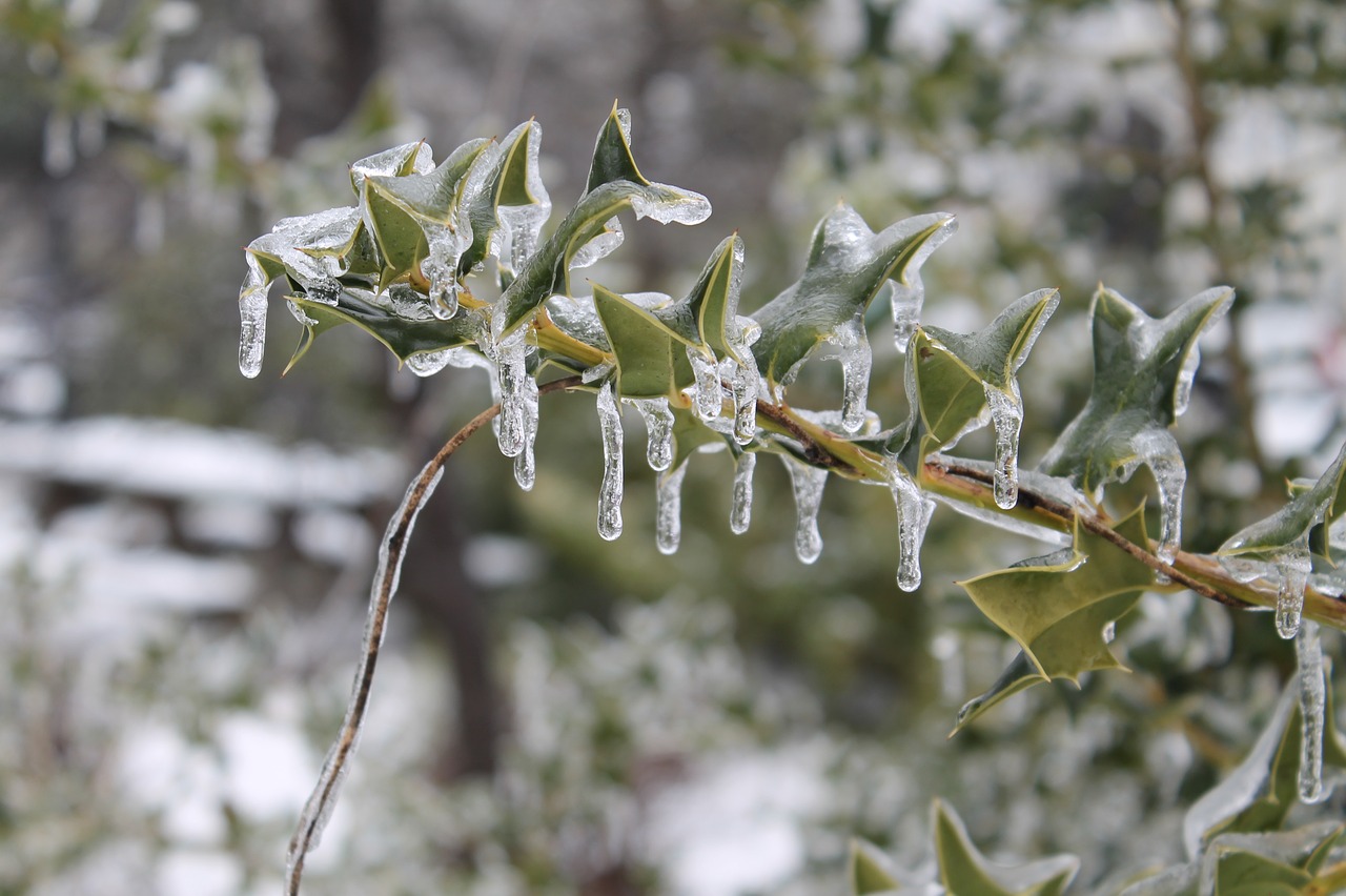 Image - ice icy ice storm