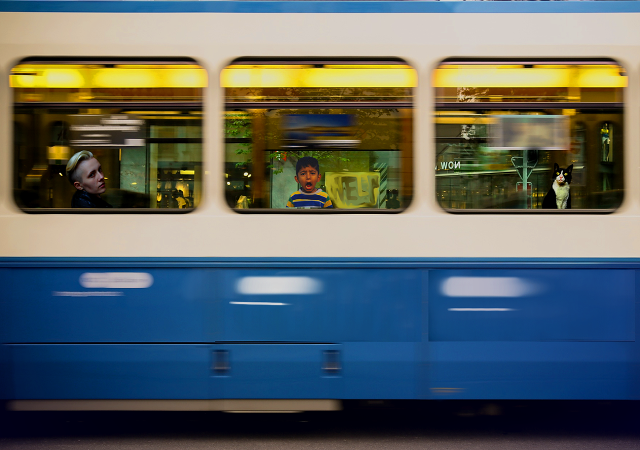 Image - train horror scary boy cat help