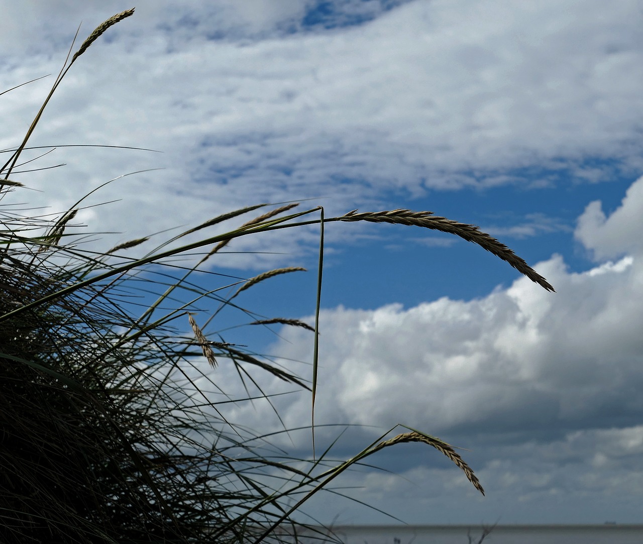 Image - dühne beach north sea sea duhnen