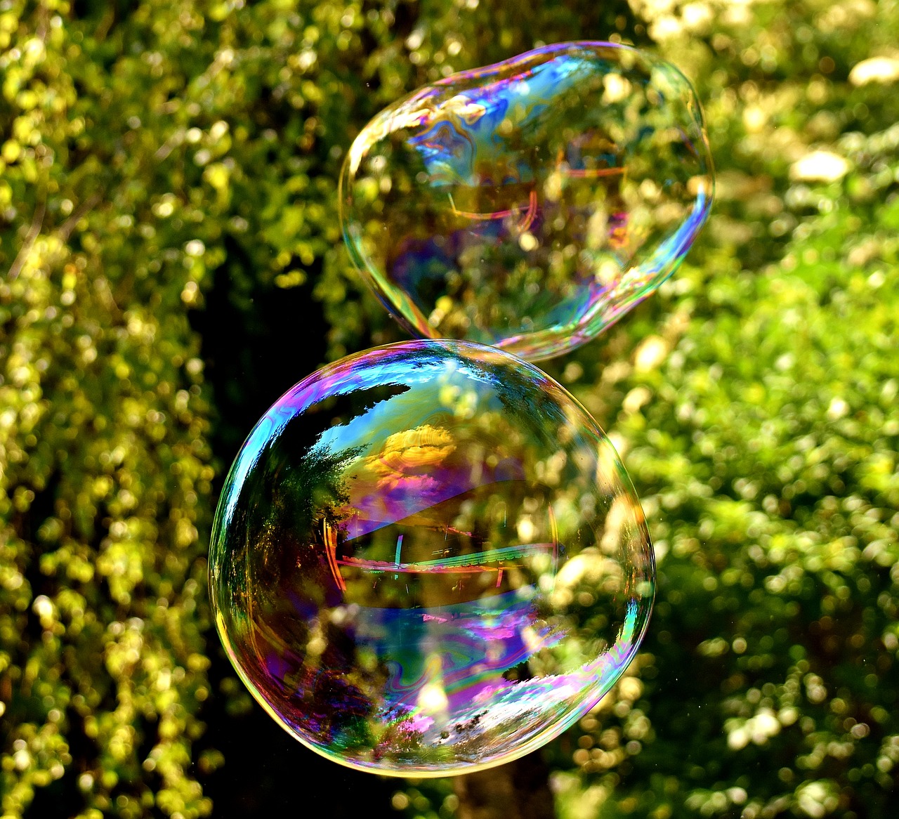 Image - soap bubble huge large