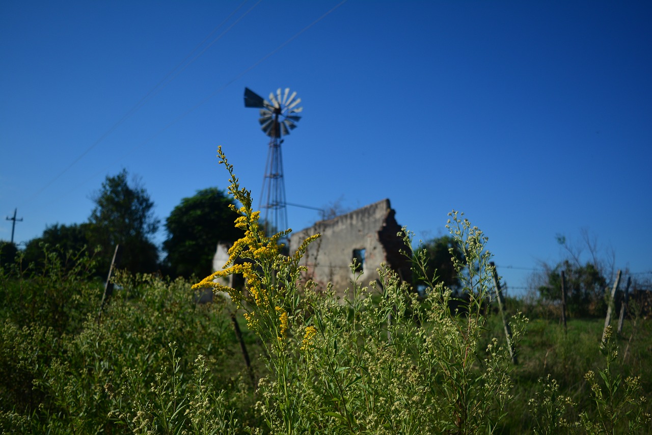 Image - mill field uruguay landscape