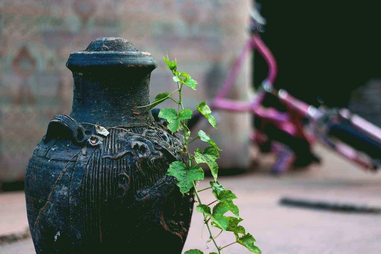 Image - vase leaves old green vintage