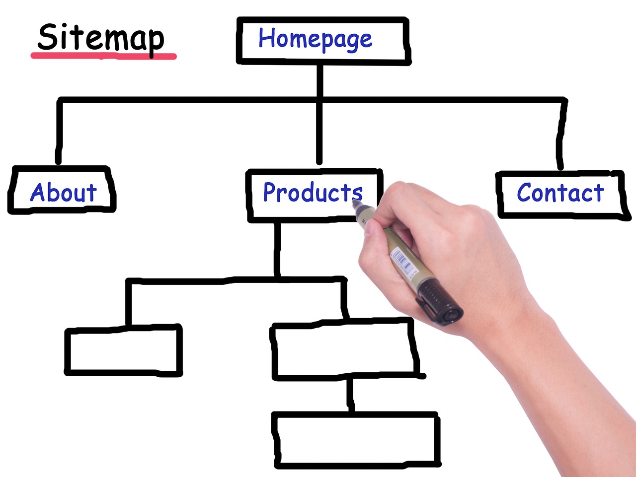 Image - sitemap pedigree website hierarchy