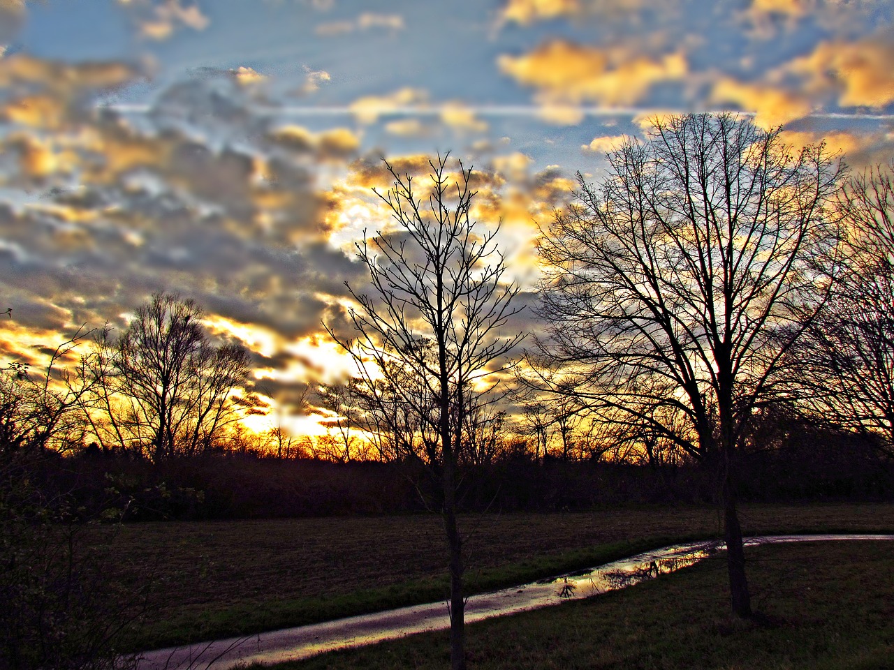 Image - landscape rain after the rain tree